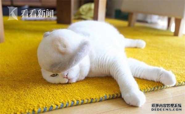 Ƶ۽磡ձһԷ򸾰޶èë