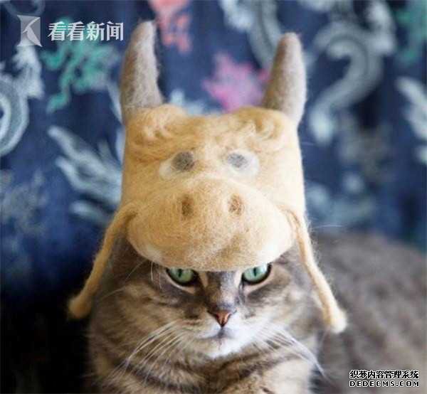 Ƶ۽磡ձһԷ򸾰޶èë