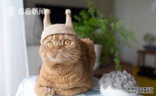 Ƶ۽磡ձһԷ򸾰޶èë
