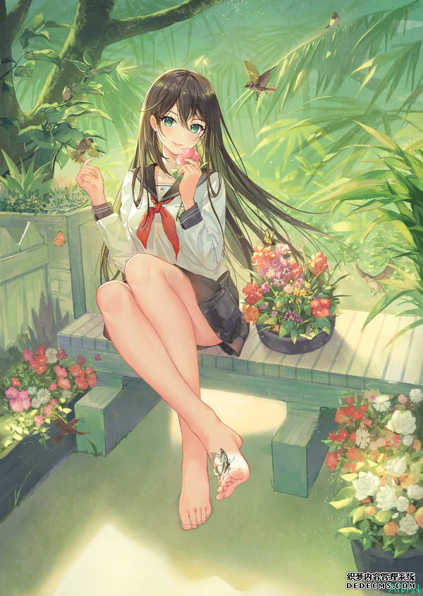 桤롿㲻òղصľƷֽϼ(243