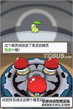 ڴ֣顷淢