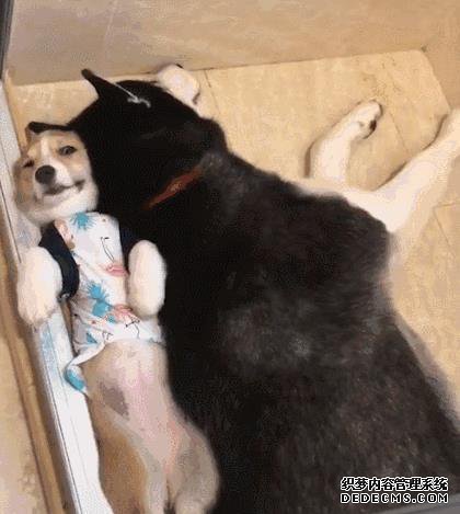 喝了我的水,就是我的人喽!