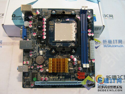 ȶҳ桱͹ĶMINI-N61+