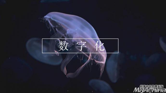 棺ֻһּһ֪˼ά