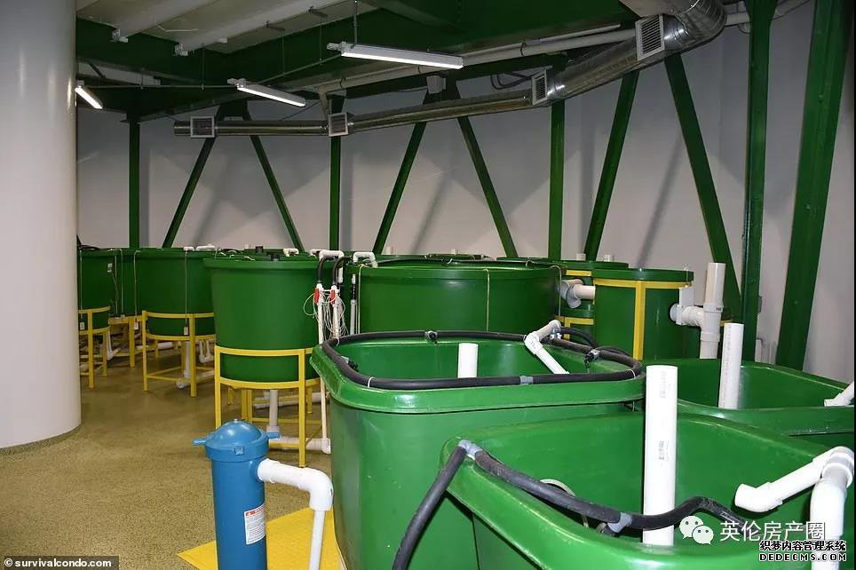 富豪抢购地下稳定的长久的传奇BT传奇 配台球室电影院像度假房