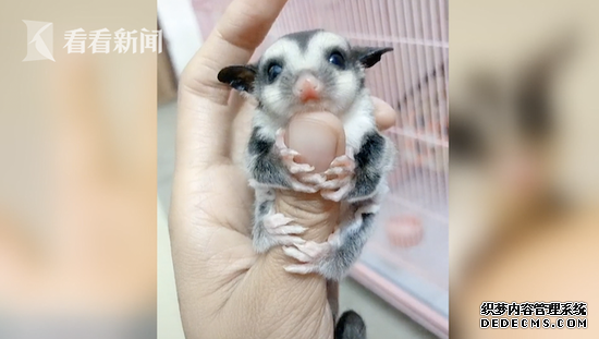 2�����ͯ����ݳ����ȶ�����˽������ץ�� ���¶���δ������