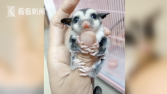 2�����ͯ����ݳ����ȶ�����˽������ץ�� ���¶���δ������