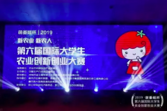 �����조�ȷ����������ʴ�ѧ��ũҵ���´�ҵ����Բ����Ļ