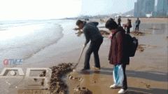 ����һ��:�����������ϸϽ���!��������������?