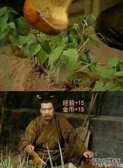 ÿ������һ�̣�