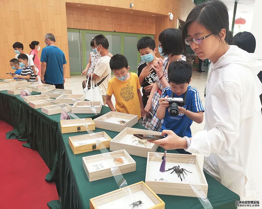 了解昆虫世界的秘密,来这里就够了!