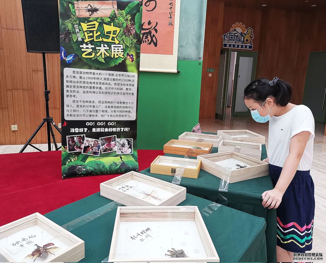 了解昆虫世界的秘密,来这里就够了!