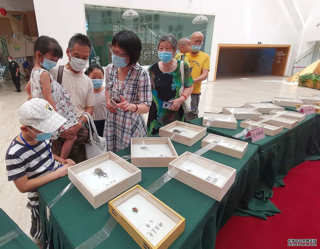 了解昆虫世界的秘密,来这里就够了!