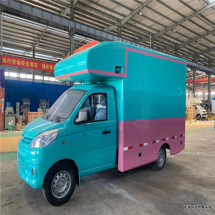 后双轮双排座售货车冰淇淋流动售卖车