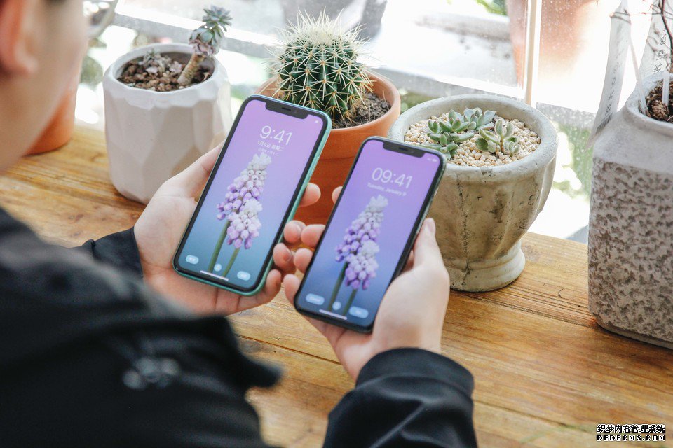 iPhone 11 和 iPhone 11 Pro 该怎么选?