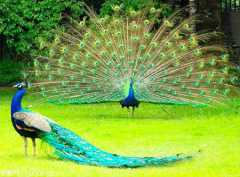 Ů�ӷ����ݳ��õĴ�������ʮ���ץͼ