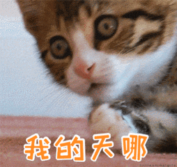 ѿӰ԰̬ҳ洫ŷ԰ᡭüɽ㳡츣